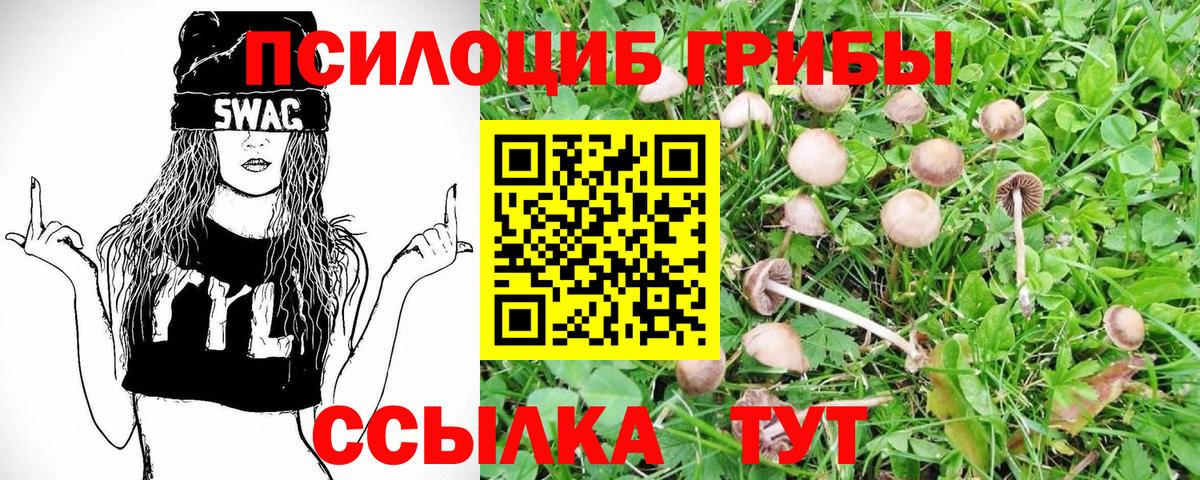 Alpha-PVP СОЛЬ   Лсд 25  МЕФ кристаллы  Кетамин  МЕФ  ГАШИШ  Алатырь  Каннабис  Вход с VPN  ГАШ  Вейп ТГК  МДМА 